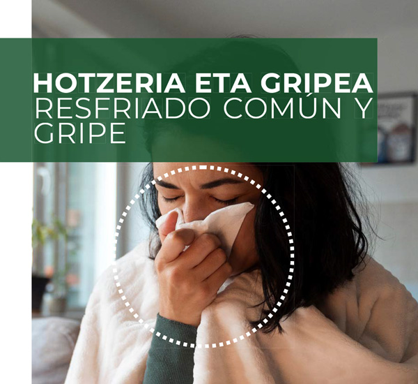 recomendaciones sobre la gripe